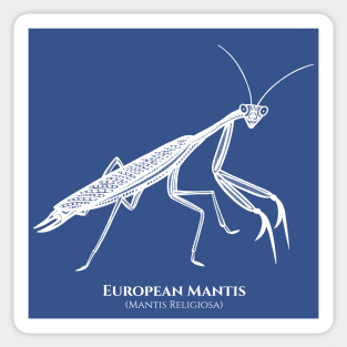 European Mantis design with Common and Scientific Names Sticker